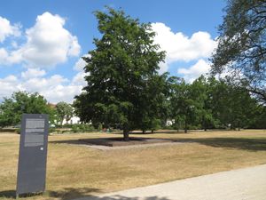 첼러 하젠야크트(Celler Hasenjagd) 기념비