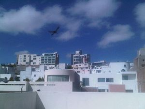  도시는 주택 수요가 가장 빠르게 증가하는 곳 중 하나이다.