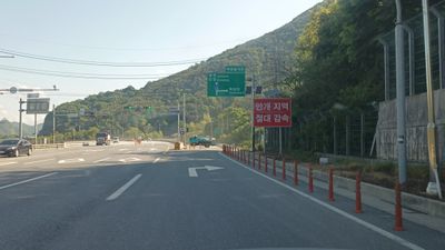 단양군 단양읍 덕상리 덕상삼거리의 국도 제5호선과 안개 주의 표지판