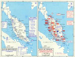 말레이 작전의 추이