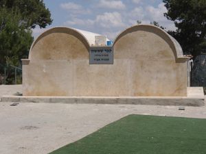 삼손의 묘로 추정되는 조라(초라) 숲