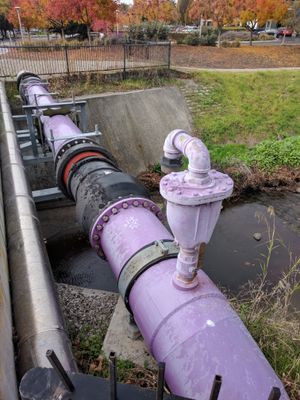 캘리포니아주 마운틴 뷰에 있는 이중 배관 시스템에서 비음용수를 운반하는 라벤더색 파이프라인