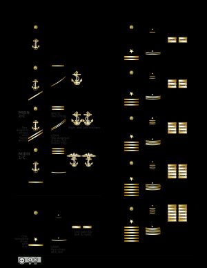 United States Naval Academy/NROTC Rank Structure