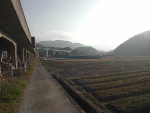 2011년 2월 후쿠오카의 농장