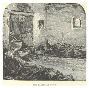 헨리 윌라드 프렌치의 아일랜드의 우리 소년들에 나오는 대기근의 묘사