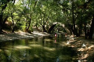 파포스 숲의 디아리조스 강에 있는 베네치아 다리 "Tzielefos"
