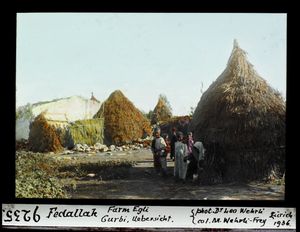 1936년 페달라의 농장