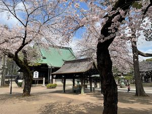 유서 깊은 사찰·본산 일원산 묘법사