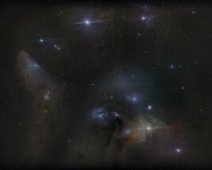 The heart of Scorpius