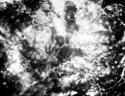 미 공군 폭격기들이 왜관 근처에 대량의 폭탄을 투하하고 있다.