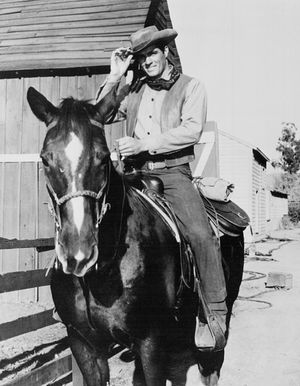 1964년 TV 시리즈 데스트리에 출연한 게빈