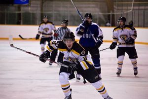 워털루 워리어스 남자 아이스 하키팀은 워털루 대학교에서 운영하는 여러 대학 스포츠팀 중 하나이다.