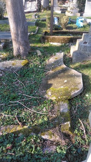 하이게이트 묘지에 있는 에멀린 팽크허스트의 두 아들 프랭크와 해리의 무덤