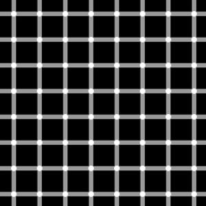 격자 착시(Grid illusion)