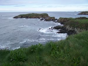 스페인의 타피아 데 카사리에고 근처 비스케이 만에 면한 연안 초지.