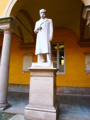 파비아 대학교의 골지 대리석 조각상