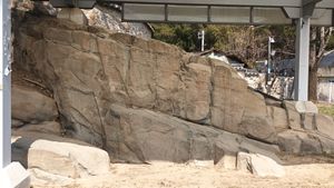 경상 누층군 하산동층에 새겨진 고령 장기리 암각화