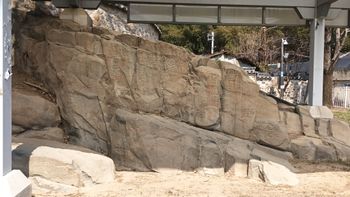 고령 장기리 암각화는 하산동층에 새겨진 것이다.