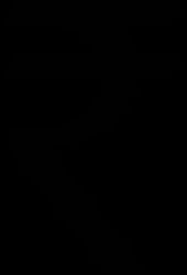 그래픽 형태의 인도 루피 기호