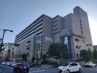 라쿠토 야마시나