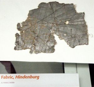 힌덴부르크의 천