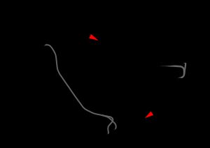 새로운 호켄하임링 (2002–2006년, 2008년, 2010년, 2012년, 2014년, 2016년, 2018년, 2019년)