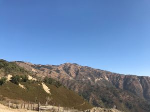 케네디 봉, 친 주