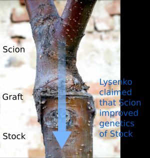 근거 없는 리센코주의 주장 중 하나: 영양 잡종화.
