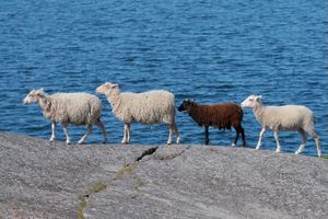 개인은 군중 속에서 두드러질 수도 있고, 섞일 수도 있다.