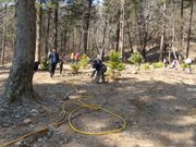 광릉 식목일 행사