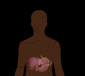 급성 HIV 감염의 증상