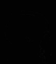 fMRI (functional MRI)로 촬영한 건강한 인간 뇌