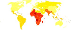 10만 명당 임질로 인한 장애 보정 생존 연수