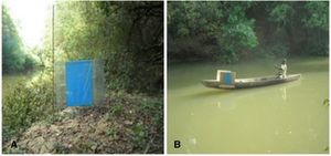 아프리카에서 해안과 배에서 포획된 체체파리. 수면병 예방 노력.