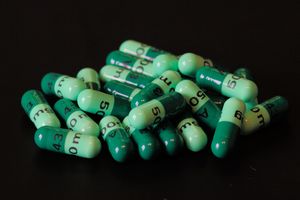 감염에 일반적으로 처방되는 세팔렉신 캡슐