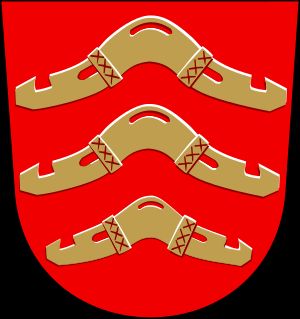 전 코디스요키 문장의 세 개의 멍에