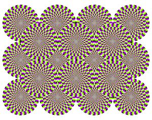 분열성 성격장애가 있는 사람은 비정상적인 감각 경험을 할 수 있다.