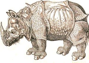 Historiae animalium에 그려진 코뿔소