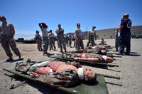 미국 해군의 들것