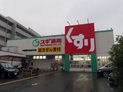 원외 처방전을 받는 보험 약국을 병설한 드럭스토어의 예 (스기 약국)