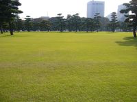 잘 관리된 잔디밭(황거 앞 광장)