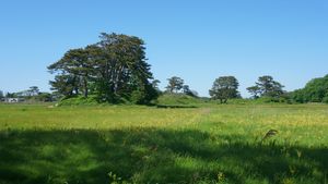 기사카타 구주쿠시마 섬의 풍경