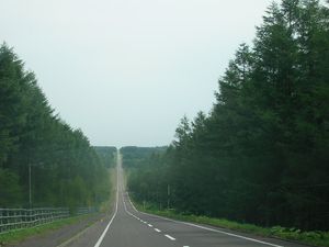 가이요다이 언덕에서 바라본 도로