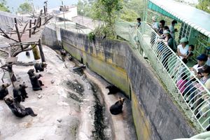 노보리베쓰 곰 목장