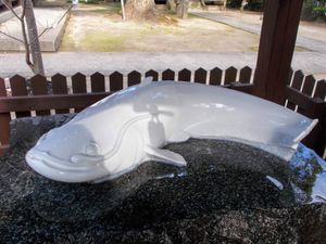 도요타마히메 신사의 흰 메기상