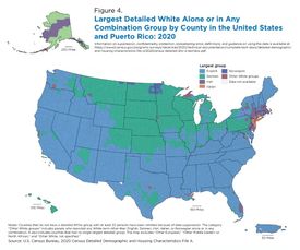 2020년 미국 카운티별 유럽 조상 (자체 보고)