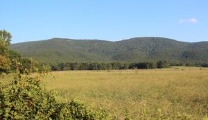 파인 로그 산 (왼쪽)과 베어 산 (오른쪽)