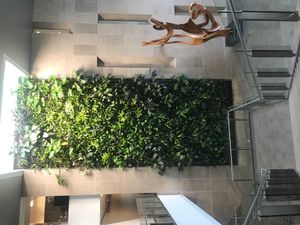 리치크래프트 홀에 설치된 녹색 벽