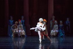 제3막 장화 신은 고양이와 흰 고양이