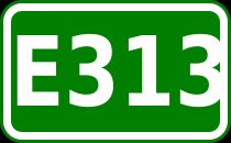 E313